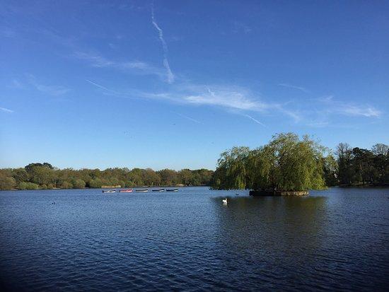 Petersfield Lake