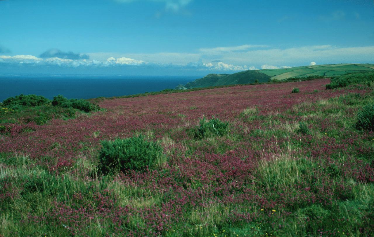 Exmoor National Park
