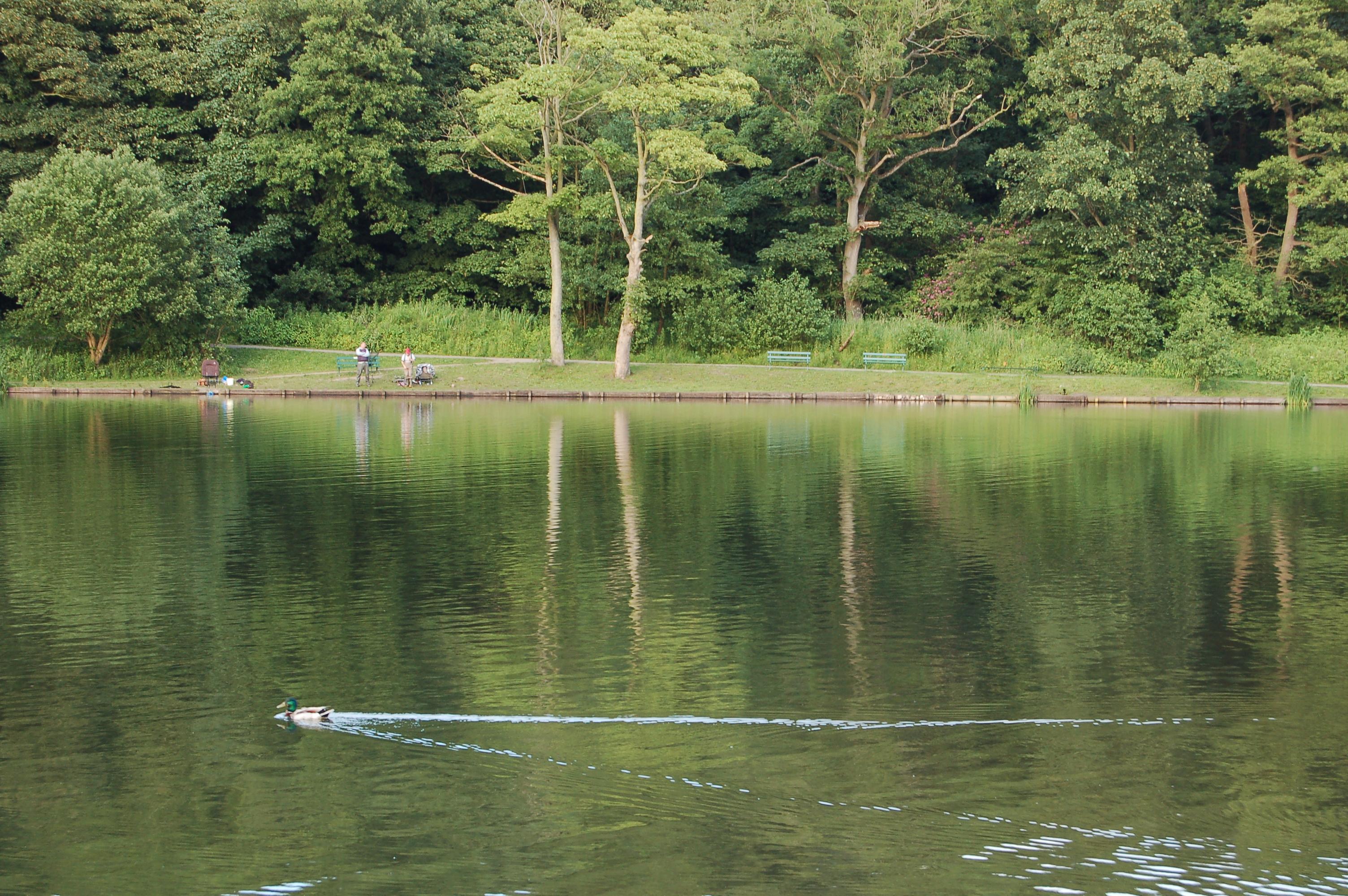 Yarrow Valley Park