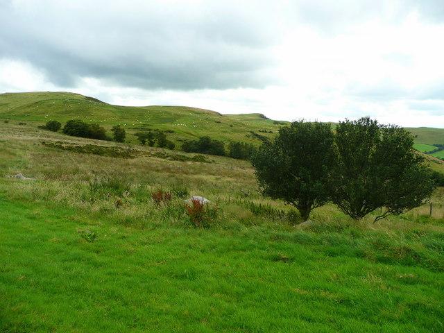 Gaer Fach, Merthyr Cynog