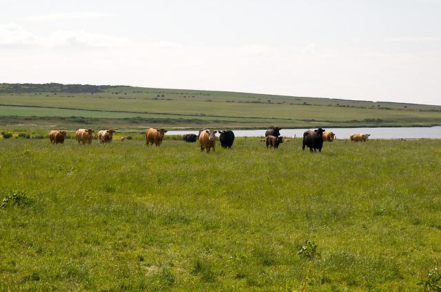 Loch Heilen
