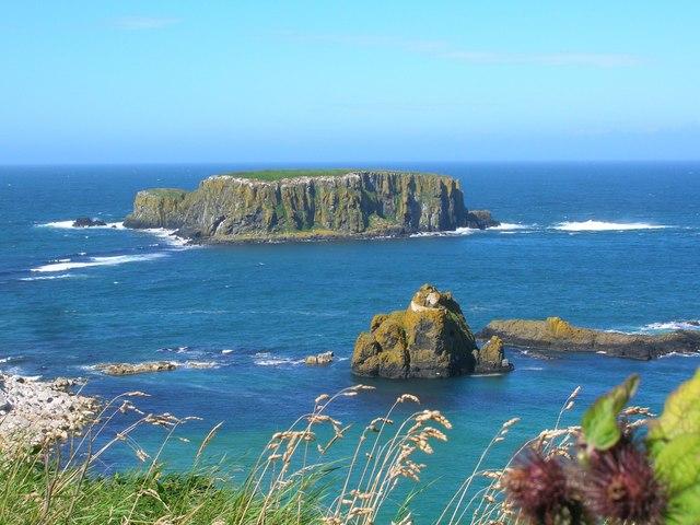 Sheep Island