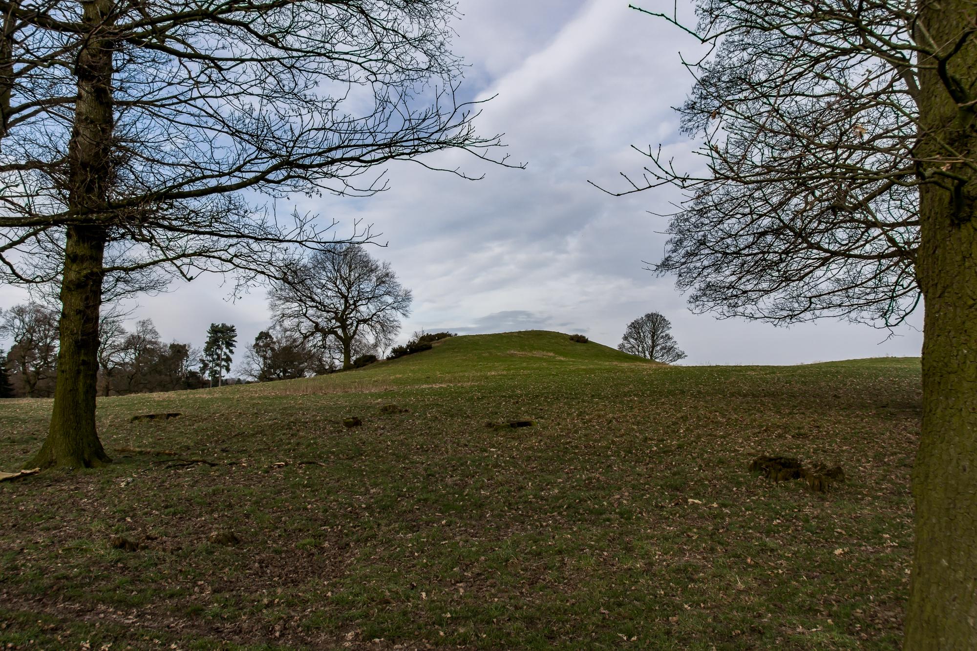 Saxon's Lowe