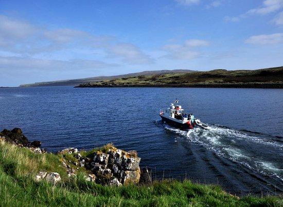 Diver's Eye Boat Trips
