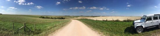 Salisbury Plain Safaris