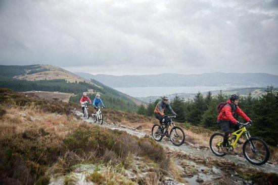 Rostrevor Mountain Bike Trails