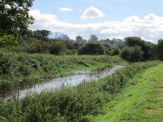 Newry Canal Towpath