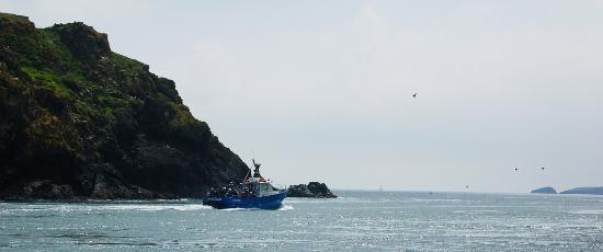 Pembrokeshire Islands Boat Trips