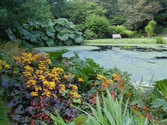 Cornwall Garden Tours