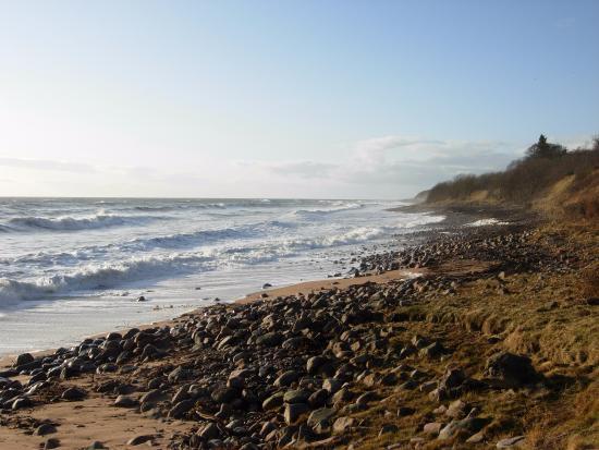 Helmsdale Beach