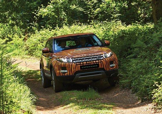 Land Rover Start Off-road