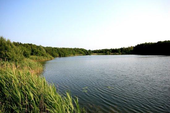 Wykeham Lakes