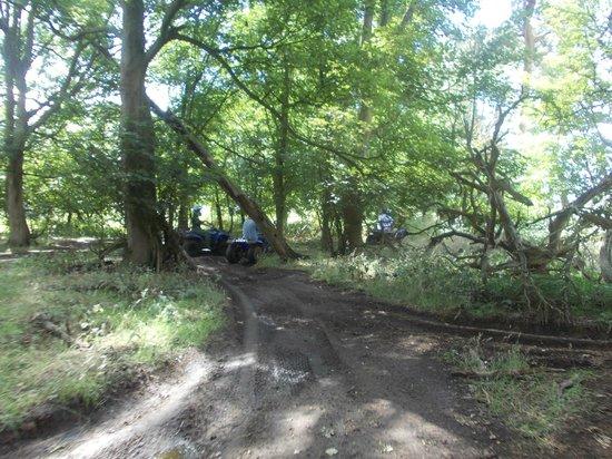 East Anglian Activities