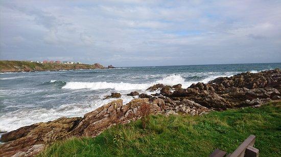 Berwickshire Coastal Path