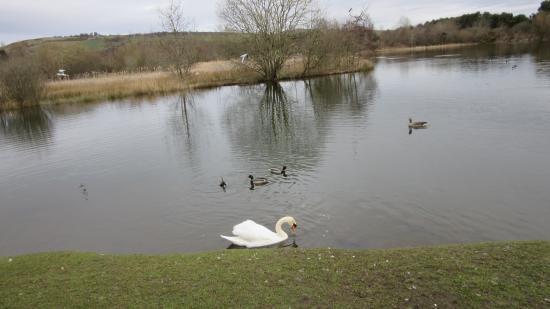 Birnie Loch