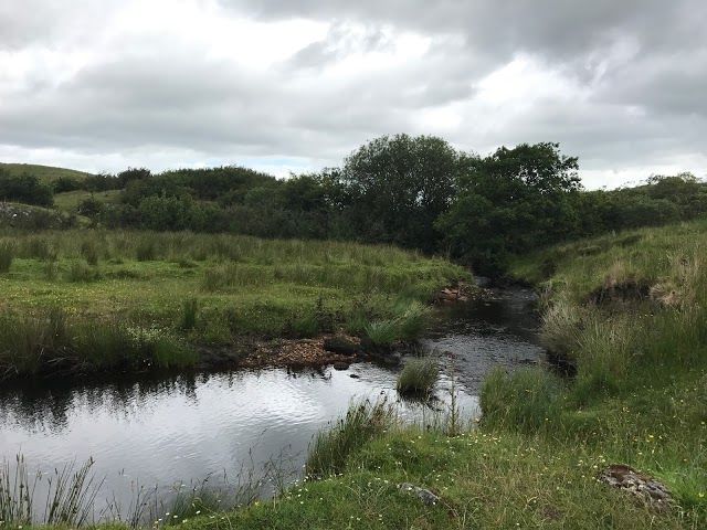 Cuilcagh Mountain Park & Cuilcagh BoardWalk