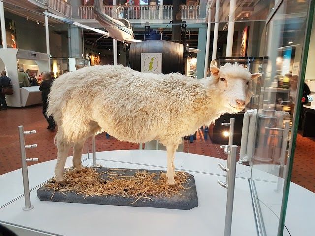 National Museum of Scotland