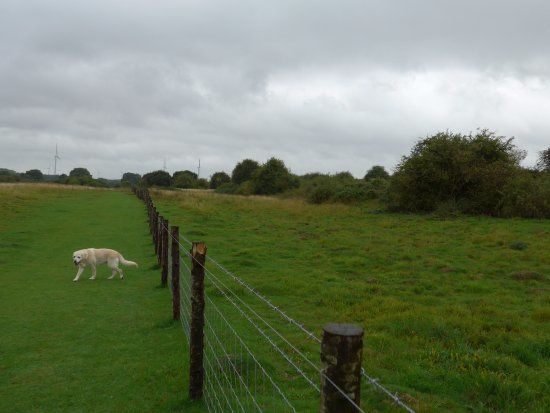 Twywell Hills and Dales