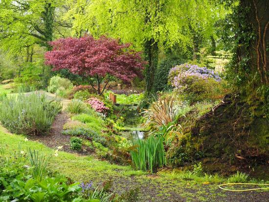 Llwyngarreg Garden