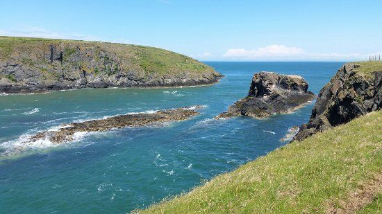 Cardigan Island Coastal Farm Park
