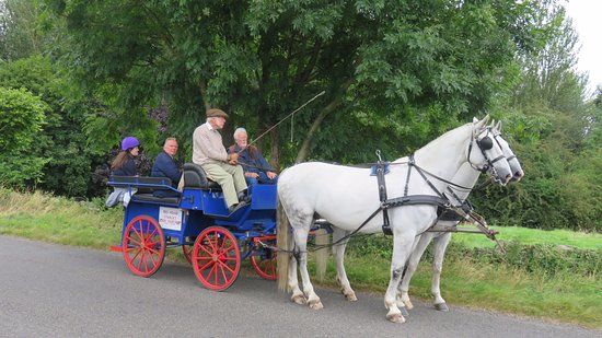 Red House Stables and Carriage Museum