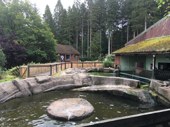 The Scottish SEA LIFE Sanctuary
