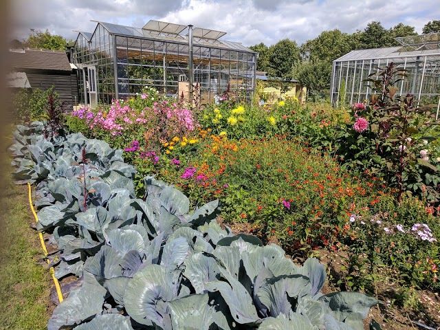 Worton Organic Garden