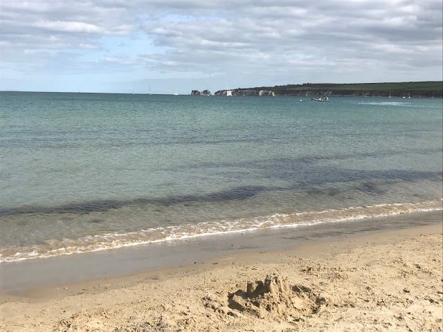 Studland Bay Marine Conservation Zone