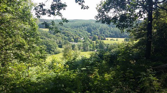 Grizedale Forest