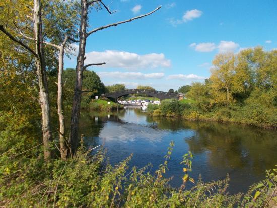 Upton Ham Nature Reserve