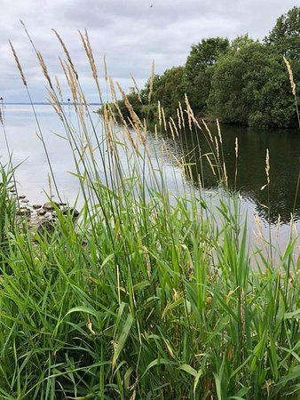 Toome Canal Walk