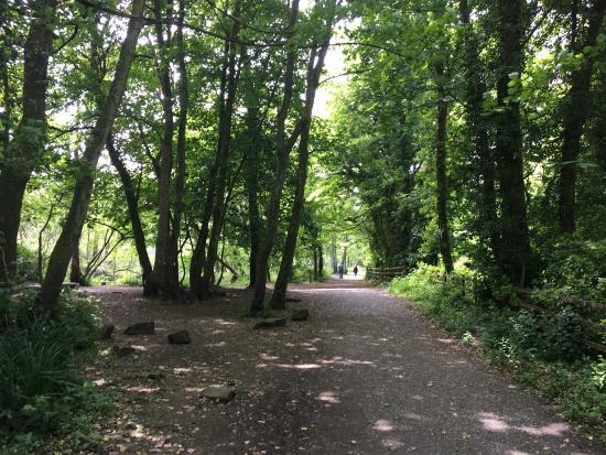 Tehidy Country Park