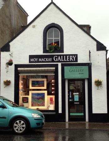 Moy Mackay Gallery