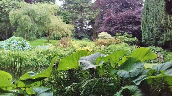 Benvarden Gardens