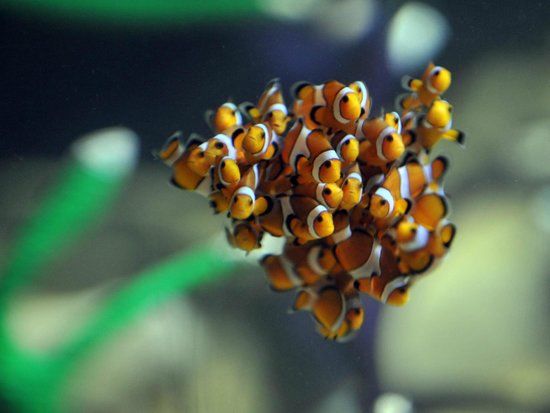 Weymouth SEA LIFE Adventure Park