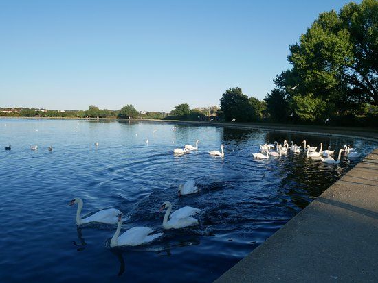 Poole Park