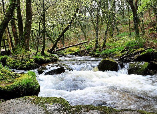 Golitha Falls