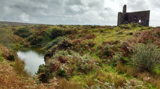 Bodmin Moor