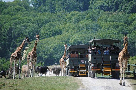 Port Lympne Reserve