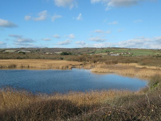 Marazion Marsh RSPB Reserve