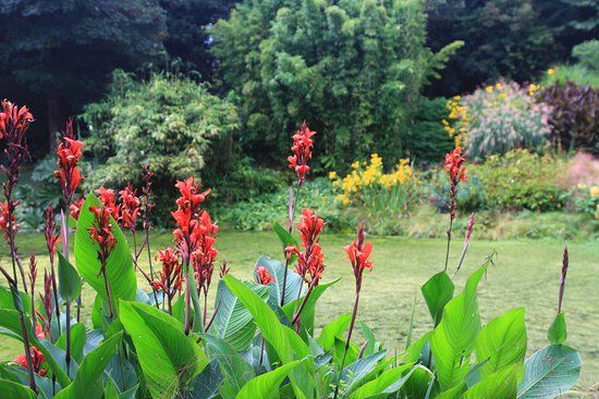 Bonython Estate Gardens
