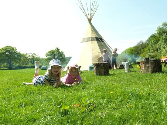 Umberslade Farm Park