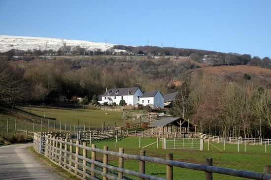 Greenmeadow Community Farm