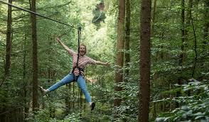 Go Ape Delamere
