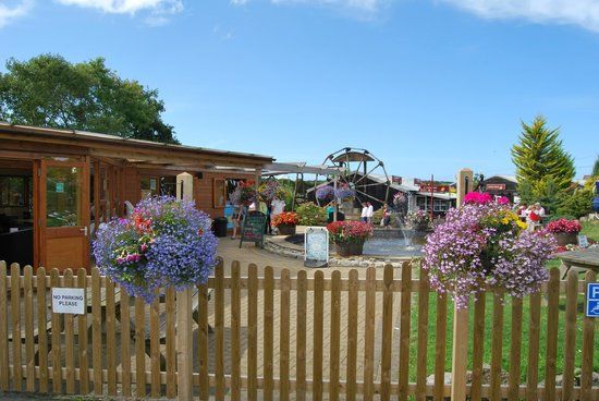 Treasure Park