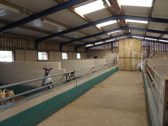 Wellybobs Farm Park