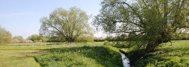 Tewkesbury Nature Reserve