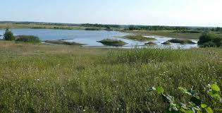 Pleasley Pit Country Park and Local Nature Reserve