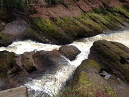 Cargill's Leap