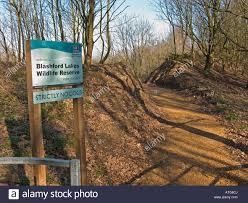 Blashford Lakes Nature Reserve